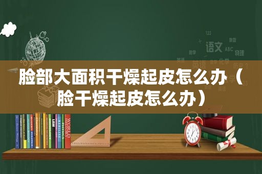 脸部大面积干燥起皮怎么办（脸干燥起皮怎么办）