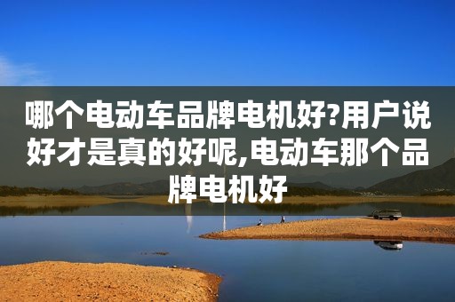 哪个电动车品牌电机好?用户说好才是真的好呢,电动车那个品牌电机好