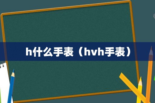 h什么手表（hvh手表）