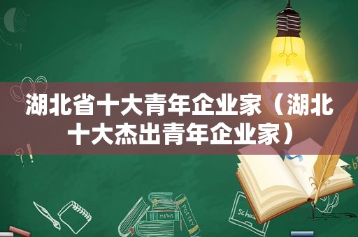 湖北省十大青年企业家（湖北十大杰出青年企业家）