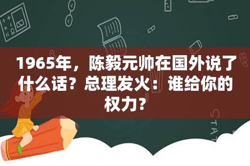 1965年，陈毅元帅在国外说了什么话？总理发火：谁给你的权力？