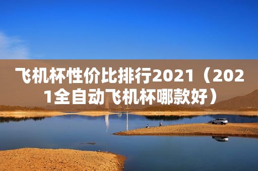 飞机杯性价比排行2021（2021全自动飞机杯哪款好）