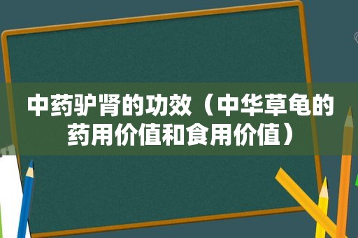 中药驴肾的功效（中华草龟的药用价值和食用价值）