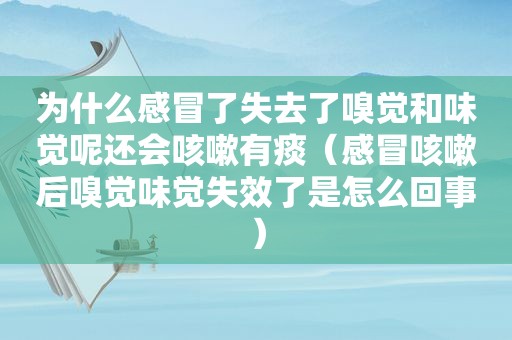 为什么感冒了失去了嗅觉和味觉呢还会咳嗽有痰（感冒咳嗽后嗅觉味觉失效了是怎么回事）