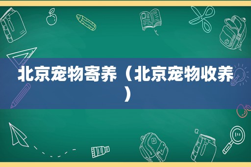 北京宠物寄养（北京宠物收养）