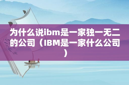 为什么说ibm是一家独一无二的公司（IBM是一家什么公司）