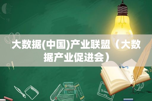 大数据(中国)产业联盟（大数据产业促进会）