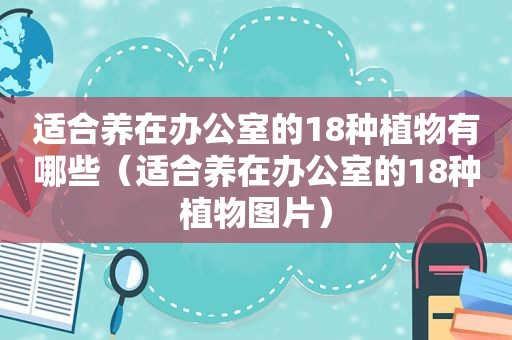 适合养在办公室的18种植物有哪些（适合养在办公室的18种植物图片）