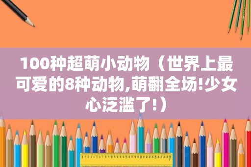 100种超萌小动物（世界上最可爱的8种动物,萌翻全场!少女心泛滥了!）