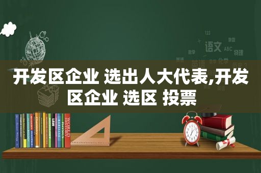 开发区企业 选出人大代表,开发区企业 选区 投票