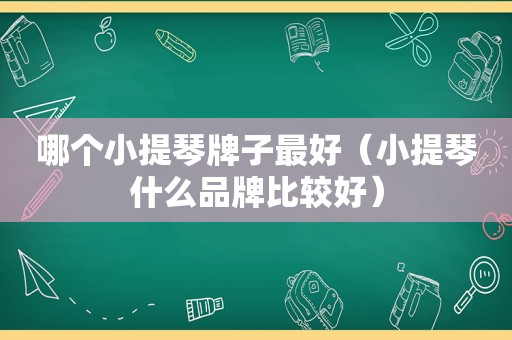 哪个小提琴牌子最好（小提琴什么品牌比较好）