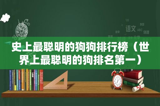 史上最聪明的狗狗排行榜（世界上最聪明的狗排名第一）