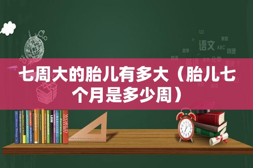 七周大的胎儿有多大（胎儿七个月是多少周）