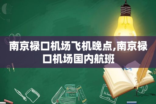 南京禄口机场飞机晚点,南京禄口机场国内航班