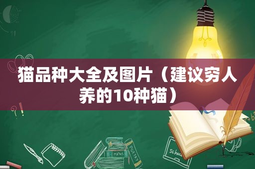 猫品种大全及图片（建议穷人养的10种猫）