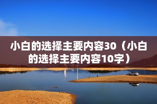 小白的选择主要内容30（小白的选择主要内容10字）