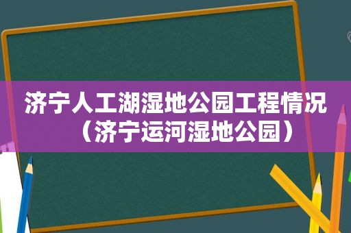 济宁人工湖湿地公园工程情况（济宁运河湿地公园）