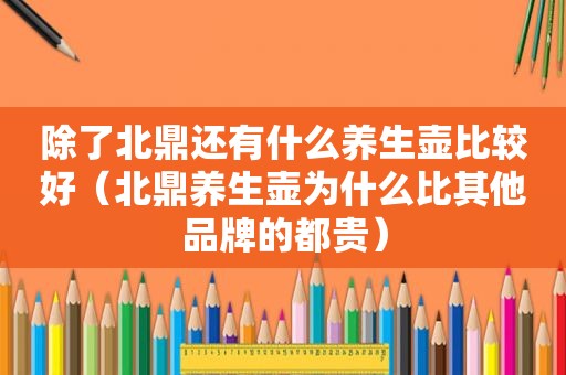 除了北鼎还有什么养生壶比较好（北鼎养生壶为什么比其他品牌的都贵）