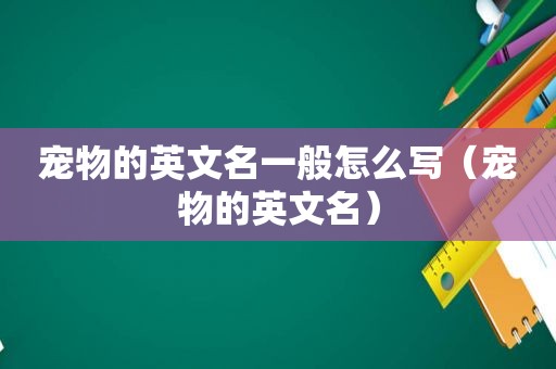 宠物的英文名一般怎么写（宠物的英文名）