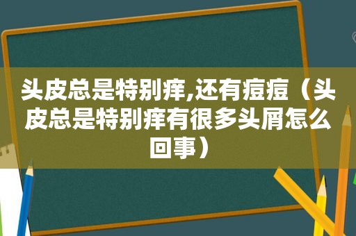 头皮总是特别痒,还有痘痘（头皮总是特别痒有很多头屑怎么回事）