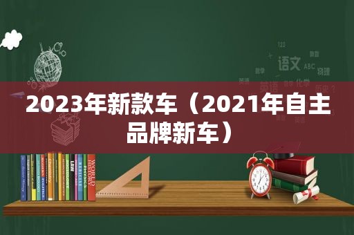 2023年新款车（2021年自主品牌新车）