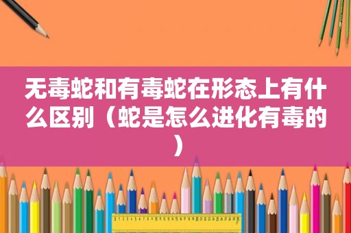 无毒蛇和有毒蛇在形态上有什么区别（蛇是怎么进化有毒的）