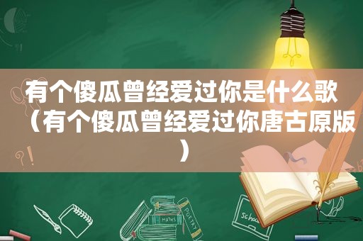 有个傻瓜曾经爱过你是什么歌（有个傻瓜曾经爱过你唐古原版）