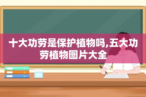 十大功劳是保护植物吗,五大功劳植物图片大全