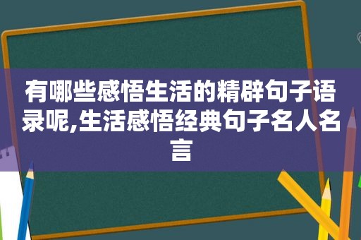 有哪些感悟生活的精辟句子语录呢,生活感悟经典句子名人名言