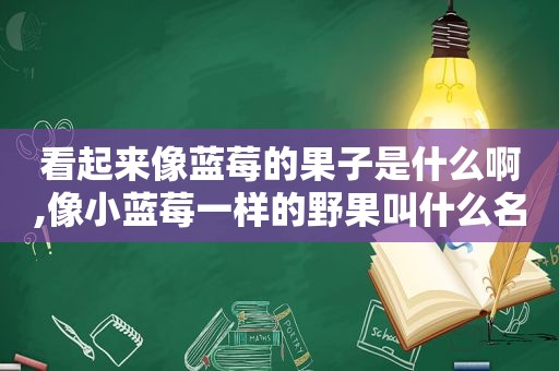 看起来像蓝莓的果子是什么啊,像小蓝莓一样的野果叫什么名