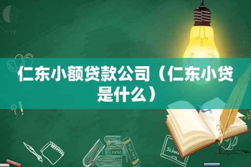 仁东小额贷款公司（仁东小贷是什么）