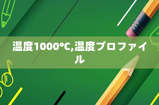 温度1000℃,温度プロファイル