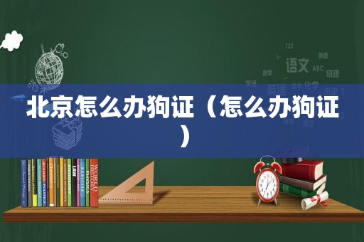 北京怎么办狗证（怎么办狗证）