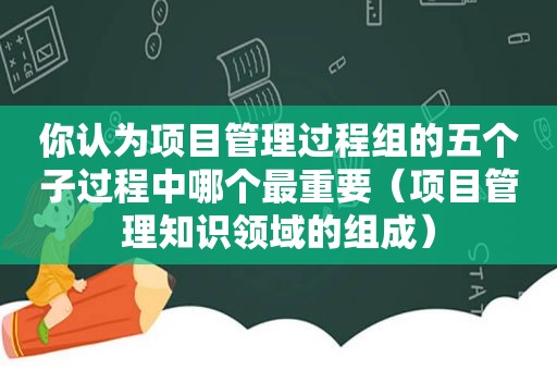 你认为项目管理过程组的五个子过程中哪个最重要（项目管理知识领域的组成）