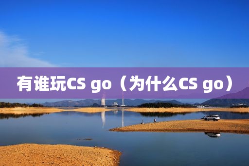 有谁玩CS go（为什么CS go）