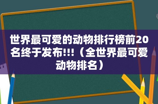 世界最可爱的动物排行榜前20名终于发布!!!（全世界最可爱动物排名）