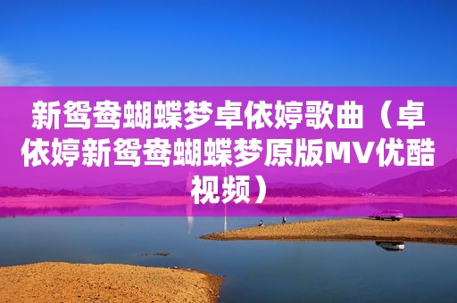 新鸳鸯蝴蝶梦卓依婷歌曲（卓依婷新鸳鸯蝴蝶梦原版MV优酷视频）