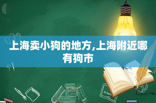 上海卖小狗的地方,上海附近哪有狗市