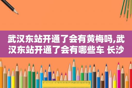 武汉东站开通了会有黄梅吗,武汉东站开通了会有哪些车 长沙