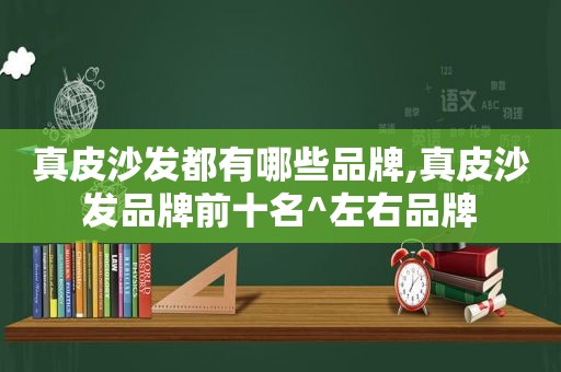 真皮沙发都有哪些品牌,真皮沙发品牌前十名^左右品牌