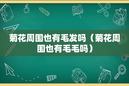 菊花周围也有毛发吗（菊花周围也有毛毛吗）