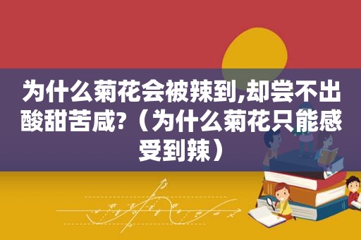 为什么菊花会被辣到,却尝不出酸甜苦咸?（为什么菊花只能感受到辣）