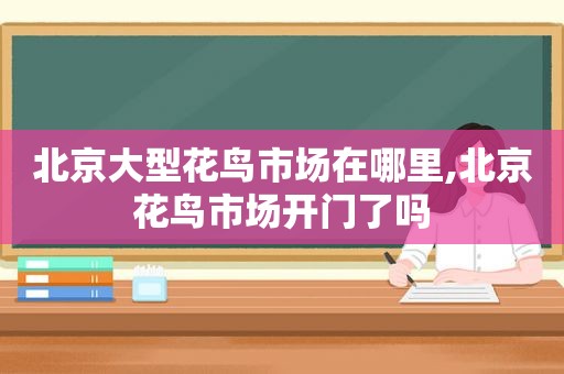 北京大型花鸟市场在哪里,北京花鸟市场开门了吗