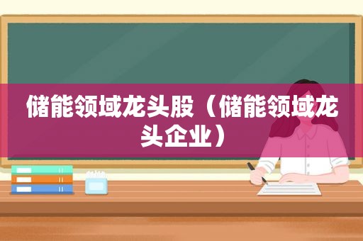 储能领域龙头股（储能领域龙头企业）