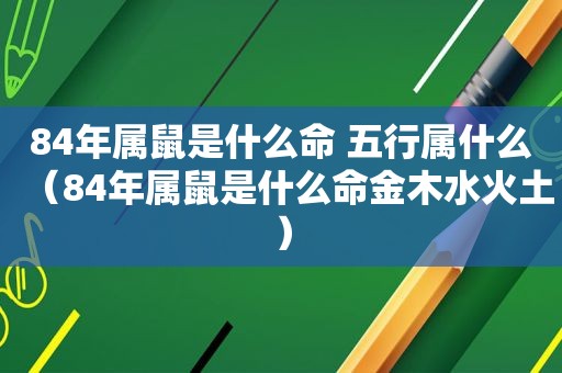 84年属鼠是什么命 五行属什么（84年属鼠是什么命金木水火土）