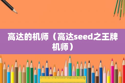 高达的机师（高达seed之王牌机师）