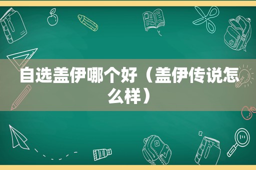 自选盖伊哪个好（盖伊传说怎么样）