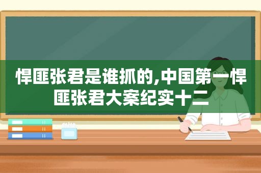 悍匪张君是谁抓的,中国第一悍匪张君大案纪实十二