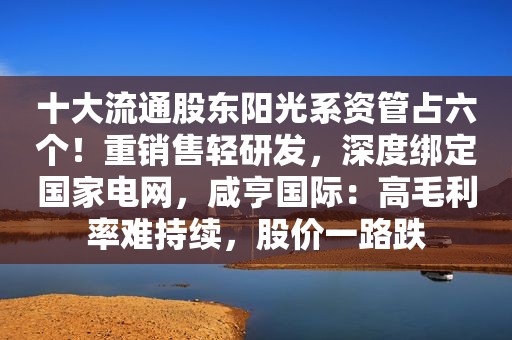 十大流通股东阳光系资管占六个！重销售轻研发，深度绑定国家电网，咸亨国际：高毛利率难持续，股价一路跌