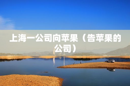 上海一公司向苹果（告苹果的公司）